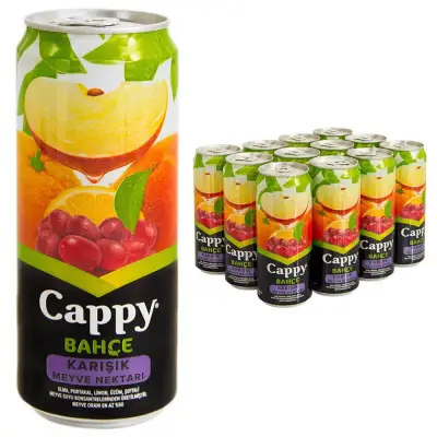 CAPPY 330 ML. KUTU KARİŞIK (*12)(PLT 234) - 1